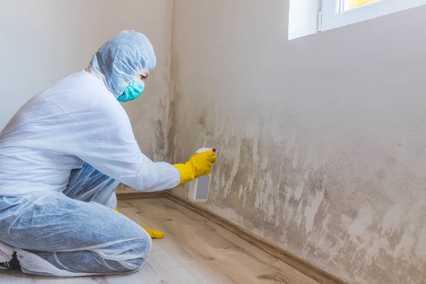 Hvac And Air Duct Mold Remediation inspection of HVAC system in Severn